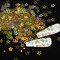 12 Colors Star Nail Art Glitter Sequins, 3D Five-Pointed Star Nail Flakes Designs, Holographic Laser Hollow Star Nail Art Supplies for Women Girls Manicure Sparkle Decorations, DIY Body Makeup Crafts
